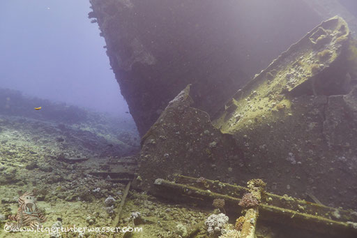 Ghiannis D / Abu Nuhas - Red Sea / Aquarius Diving Club