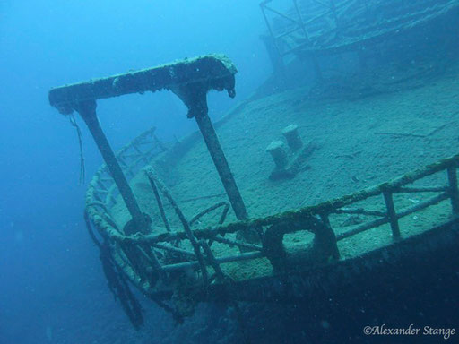 Mohamed Hasabella / Hurghada - Red Sea / Aquarius Diving Club