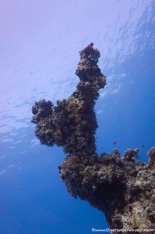 Godda Abu Ramada East/West / Hurghada - Red Sea / Aquarius Diving Club
