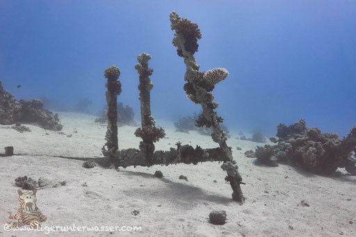 Abu Ramada Süd - Hurghada - Red Sea / Aquarius Diving Club