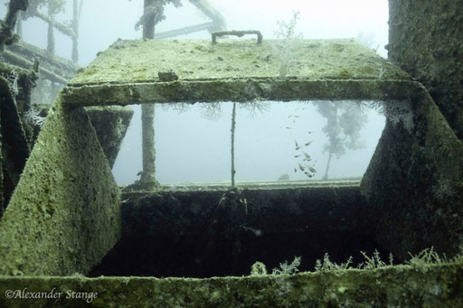 Mohamed Hasabella / Hurghada - Red Sea / Aquarius Diving Club