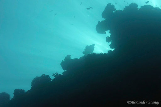 Ben El Gebal / Hurghada - Red Sea / Aquarius Diving Club