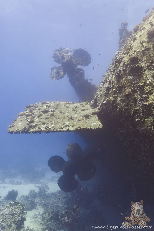Salem Express / Safaga - Red Sea / Aquarius Diving Club 