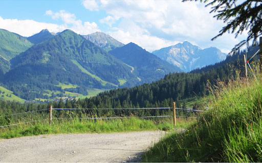 9 Breitaachklamm