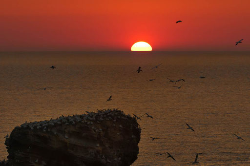 Sonnenuntergang bei den Basstöpeln