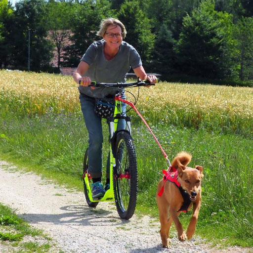 Team-Sport in der Natur