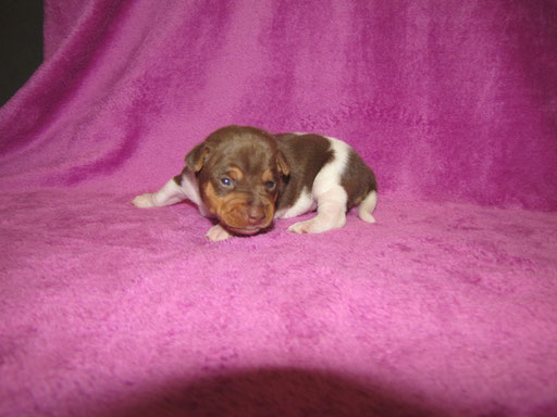 19.05.2020 - Emely