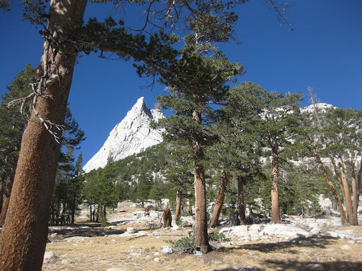 Cathedral Peak, Tuolomne Meadows, Sierra  Nevada - California