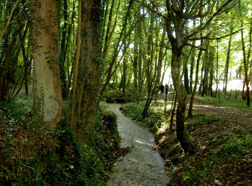 Source de La Kilienne