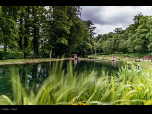 Etang de pêche