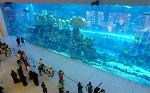 Dubai Aquarium in der Dubai Mall