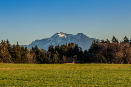 Blick auf die Chiemgauer Alpen