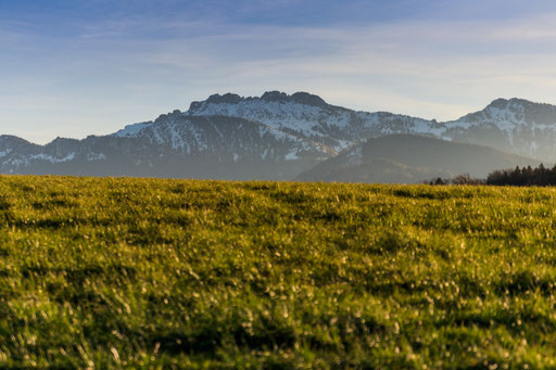 Blick auf die Chiemgauer Alpen 