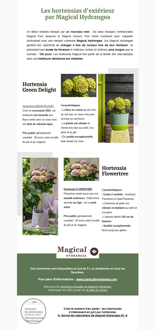 Dossier de presse Spécial "Fêtes des mères"  - Hortensias Magical 