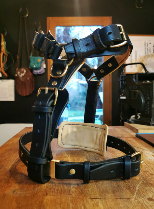 HARNAIS CHIEN CUIR FRANCE ARTISAN SELLIER ANNECY
