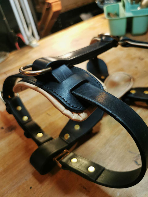 HARNAIS CUIR CHIEN FRANCE ARTISAN SELLIER ANNECY