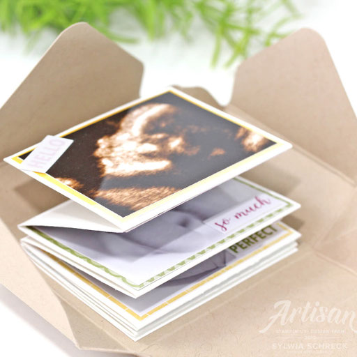 Baby Mini Album 