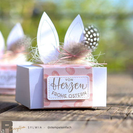 Hasen-Boxen