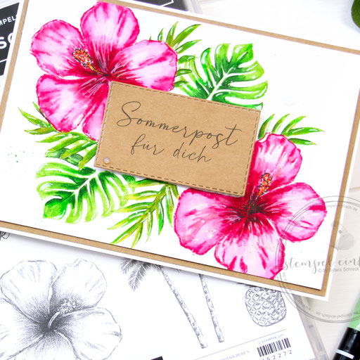 Sommerpost-Hibiskus