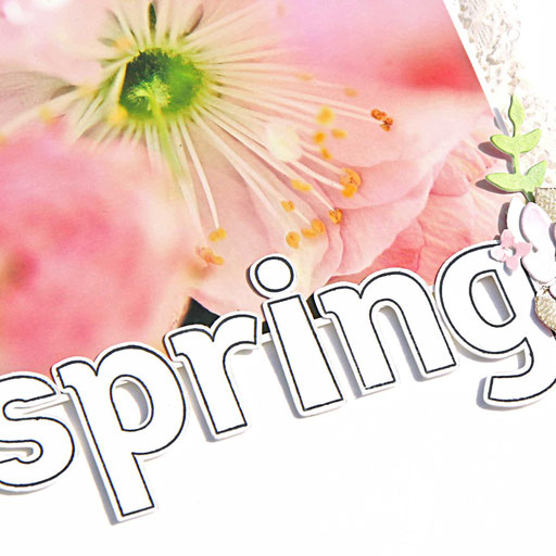 Layout Spring