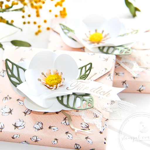Magnolien Verpackungen