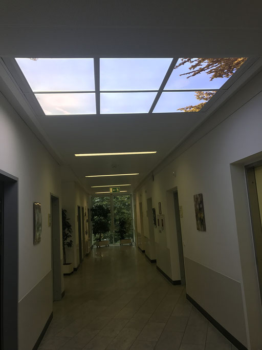 Rasterlampe