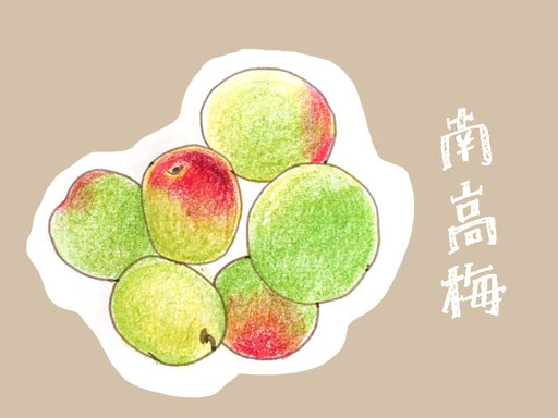 南高梅