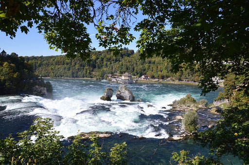 CheckPoint Time | tosender Rheinfall 