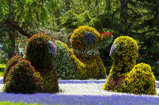 Blumenkunst bei der Insel Mainau