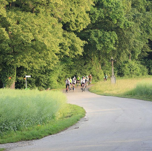AUDAX Power bei den drei Eichen, wovon eine fast 650 Jahre alt ist und zu den ältesten der Schweiz gehört 