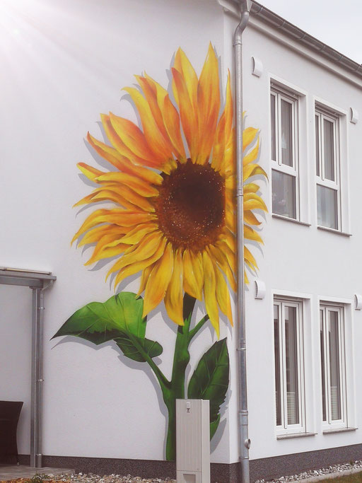 Graffitikunst Graffitibild Blumen Rügen