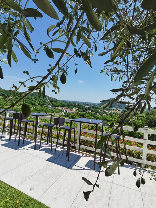 Cantina Sengiari