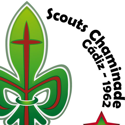 Web Grupo Scout