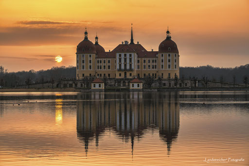 Schloss Moritzburg