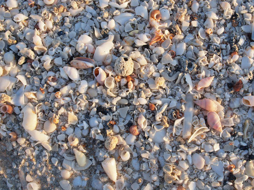 Ninety Mile Beach