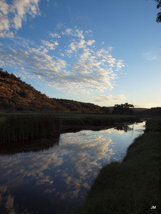 The Finke Gorge National Park - Palm Valley