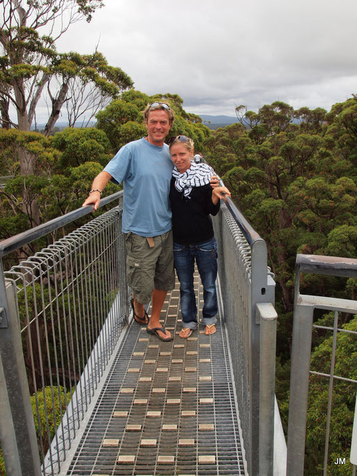 Valley of the Giants - Tree Top Walk