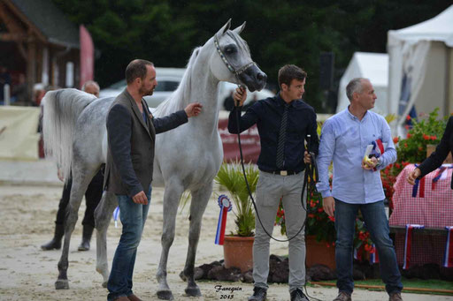 Championnat de France à Pompadour 2015 - SHAWAN DU KLINTZ - notre selection - 22