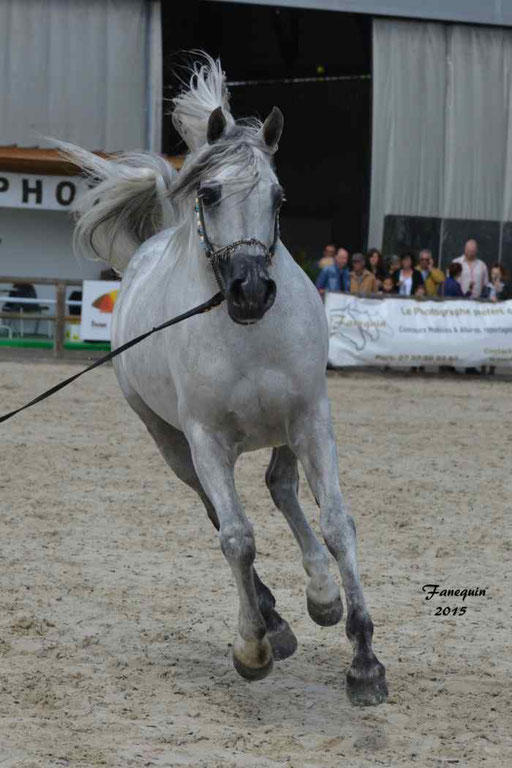 Concours International de Bordeaux 2015 - SHAWAN DU KLINTZ - notre selection - 25
