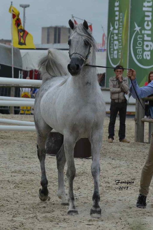 Concours International de Bordeaux 2015 - SHAWAN DU KLINTZ - notre selection - 32