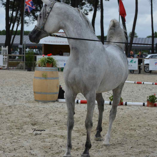 Concours International de Bordeaux 2015 - SHAWAN DU KLINTZ - notre selection - 16