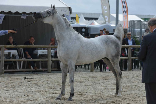 Concours International de Bordeaux 2015 - SHAWAN DU KLINTZ - notre selection - 14