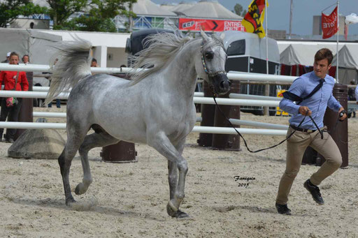 Concours International de Bordeaux 2015 - SHAWAN DU KLINTZ - notre selection - 02