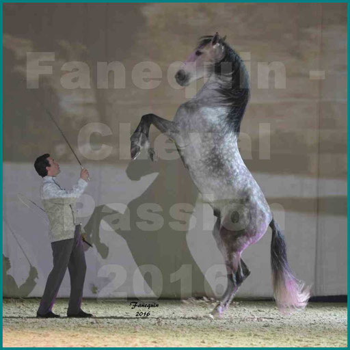 Cheval Passion 2016 - Spectacle M. I. S. E. C. - Vincent LIBERATOR