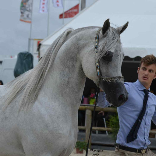 Concours International de Bordeaux 2015 - SHAWAN DU KLINTZ - notre selection Portraits - 11