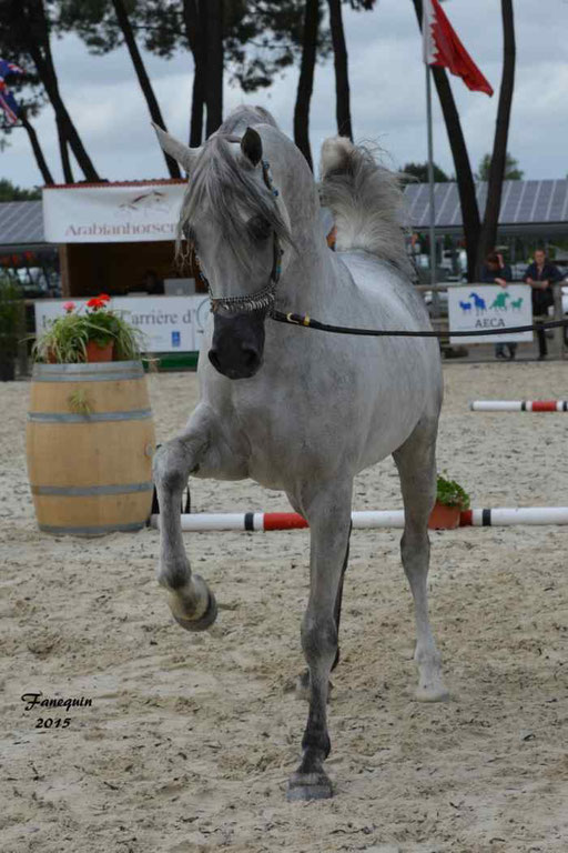 Concours International de Bordeaux 2015 - SHAWAN DU KLINTZ - notre selection - 15