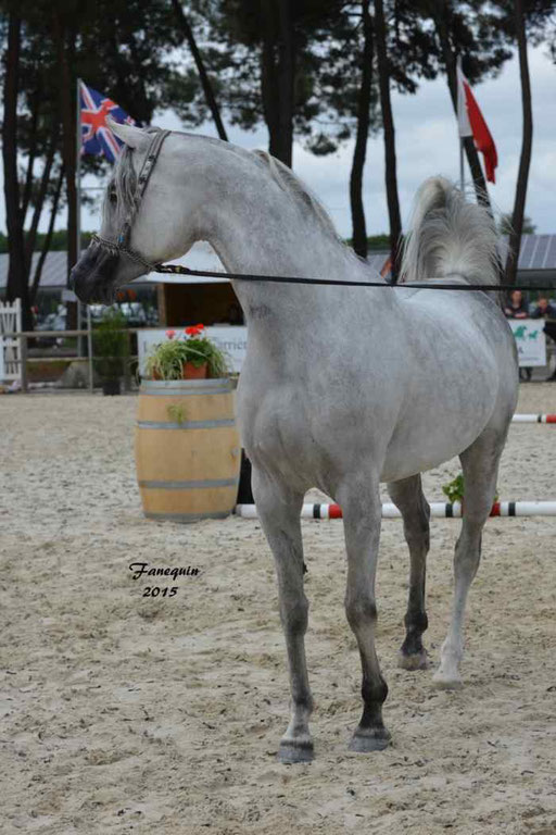 Concours International de Bordeaux 2015 - SHAWAN DU KLINTZ - notre selection - 17