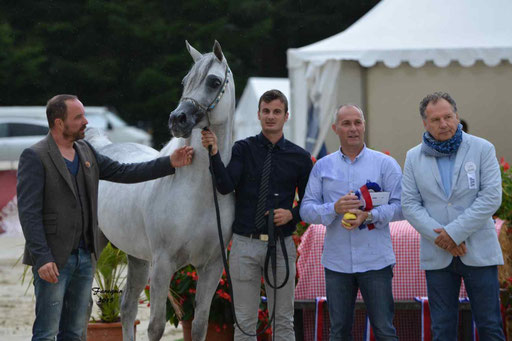 Championnat de France à Pompadour 2015 - SHAWAN DU KLINTZ - notre selection - 19