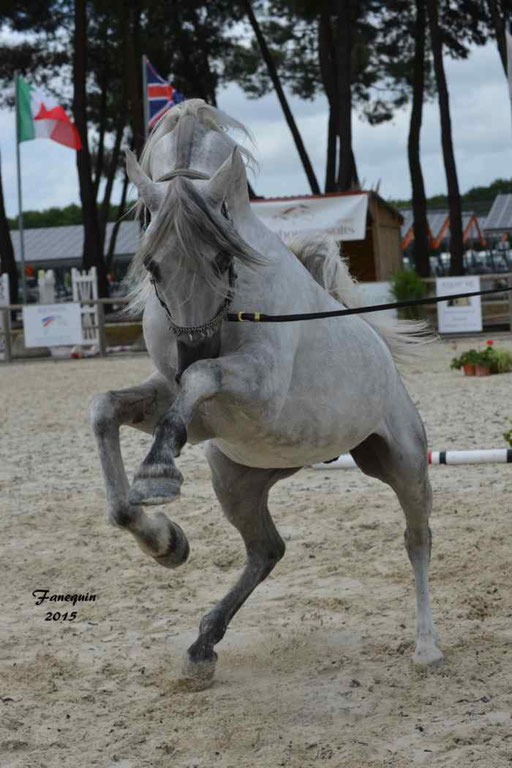 Concours International de Bordeaux 2015 - SHAWAN DU KLINTZ - notre selection - 21