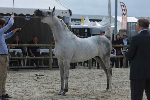 Concours International de Bordeaux 2015 - SHAWAN DU KLINTZ - notre selection - 12